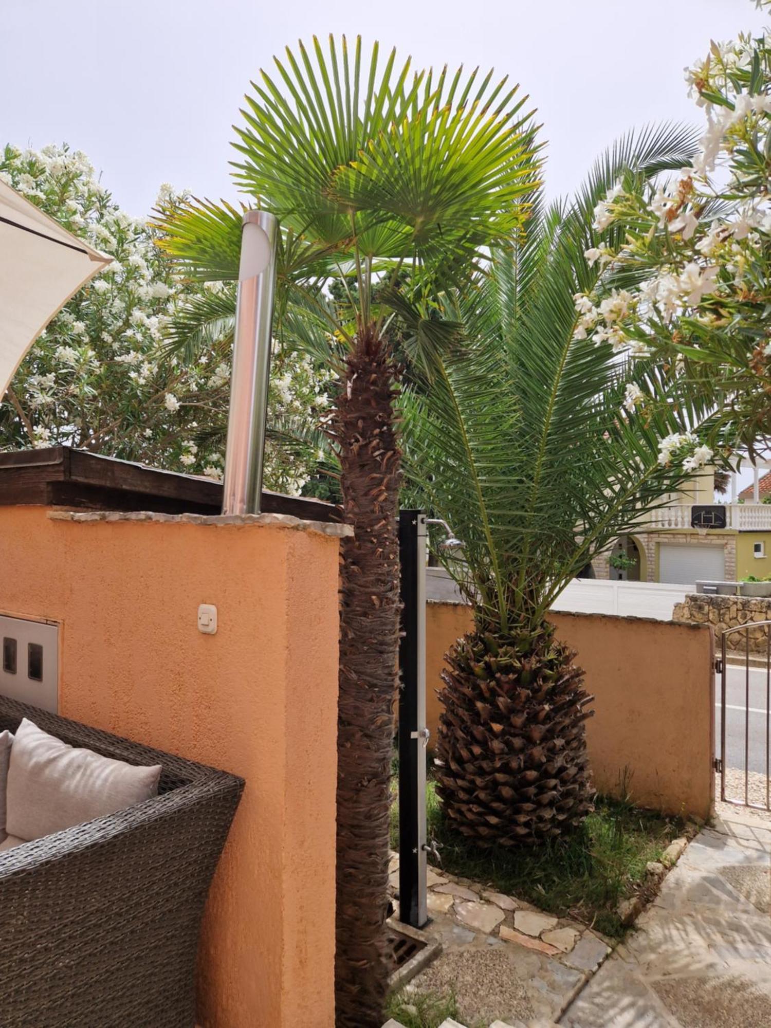 Aurelia Apartments, Vir Room photo